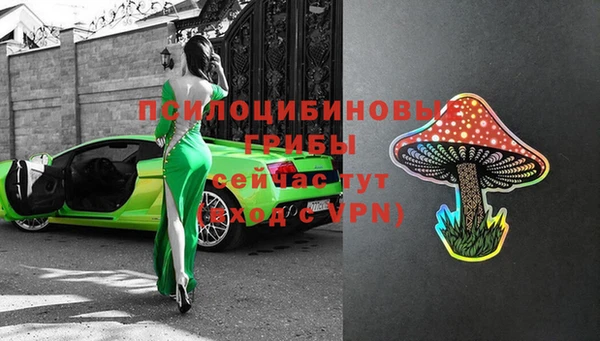 прущий лед Богородск