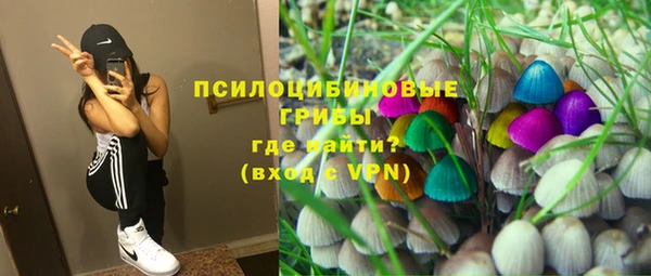 прущий лед Богородск