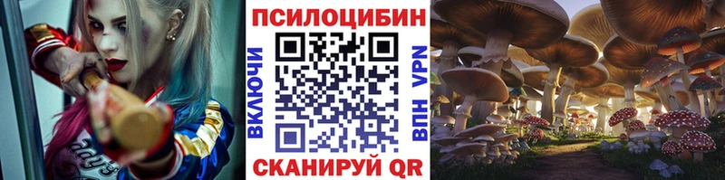 Псилоцибиновые грибы ЛСД  ОМГ ОМГ зеркало  Кировград  где можно купить наркотик 